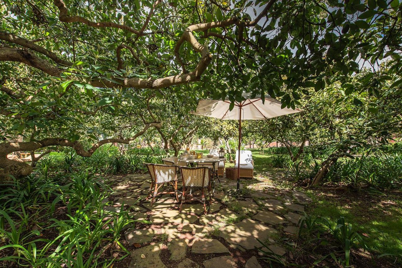 Homeforguest Rural House With Garden El Laurel تاكورونتي المظهر الخارجي الصورة