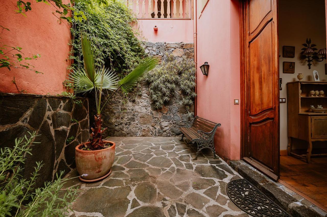 Homeforguest Rural House With Garden El Laurel تاكورونتي المظهر الخارجي الصورة