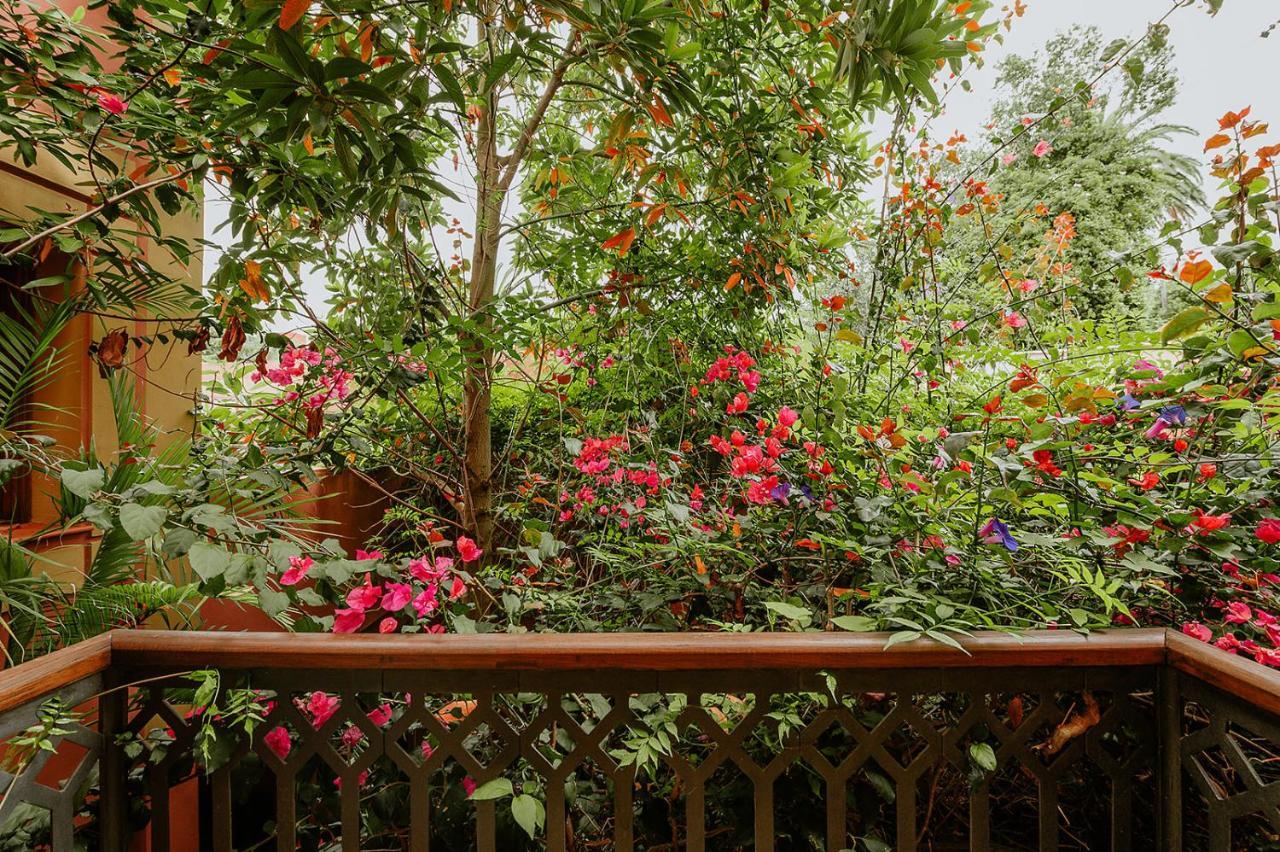 Homeforguest Rural House With Garden El Laurel تاكورونتي المظهر الخارجي الصورة