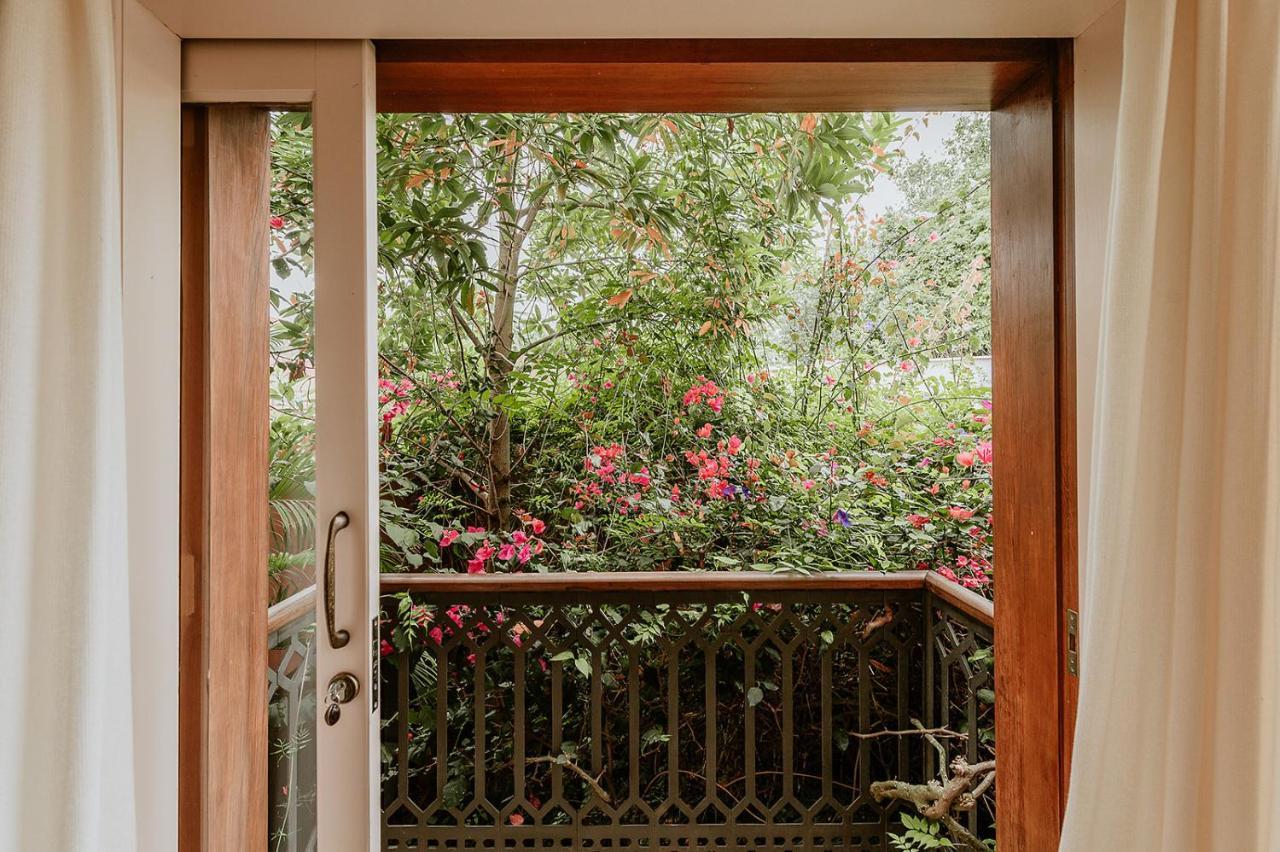 Homeforguest Rural House With Garden El Laurel تاكورونتي المظهر الخارجي الصورة