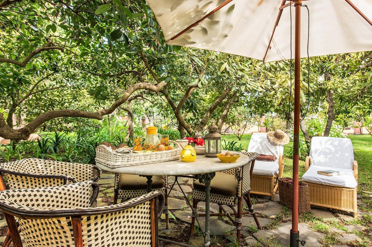 Homeforguest Rural House With Garden El Laurel تاكورونتي المظهر الخارجي الصورة