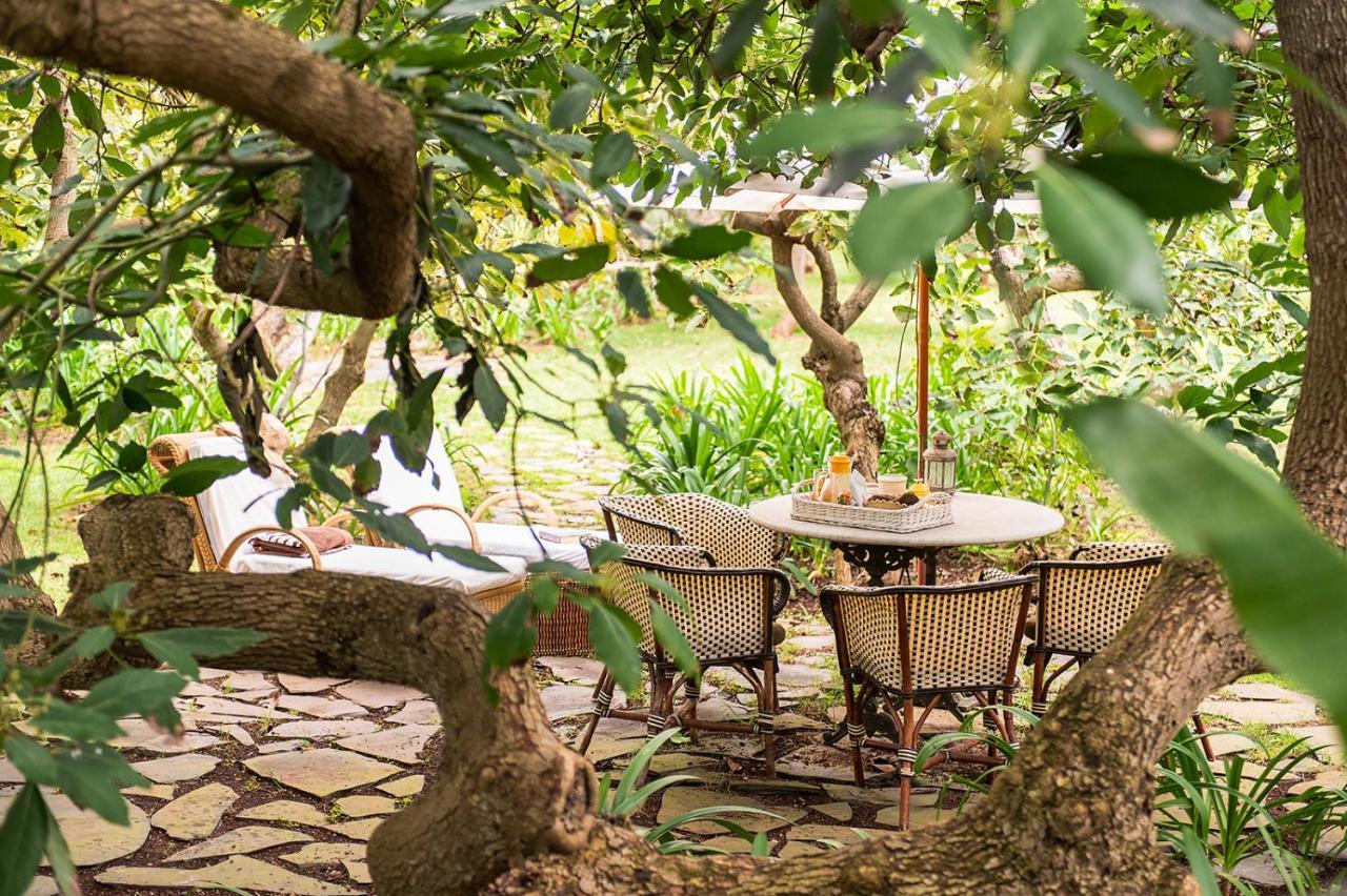 Homeforguest Rural House With Garden El Laurel تاكورونتي المظهر الخارجي الصورة