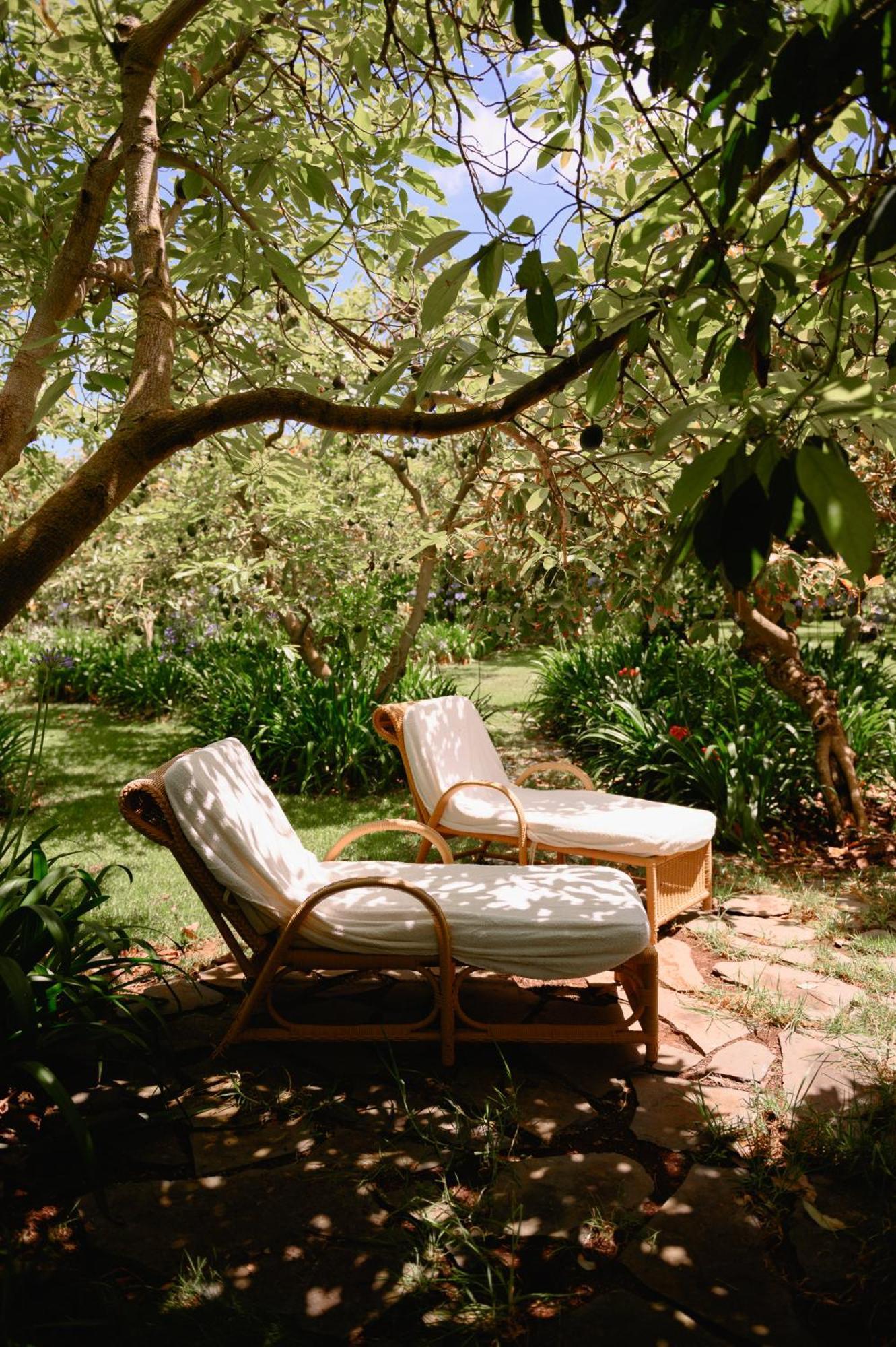 Homeforguest Rural House With Garden El Laurel تاكورونتي المظهر الخارجي الصورة